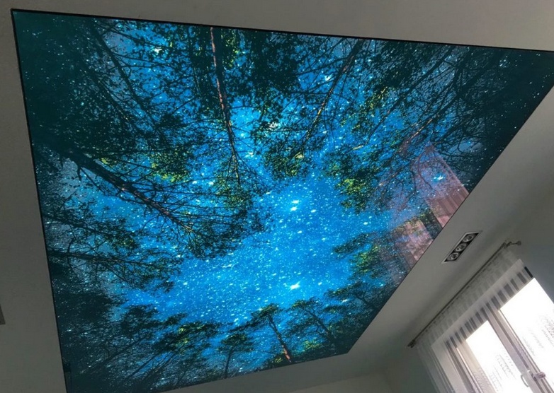 Потолок ПВХ лес