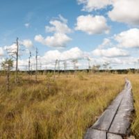 Сухопутная дорога Российской Империи