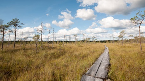 Сухопутная дорога Российской Империи